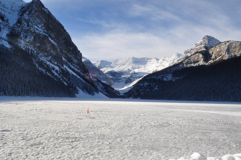 Flowing into Winter: With the Water Element and our Kidneys